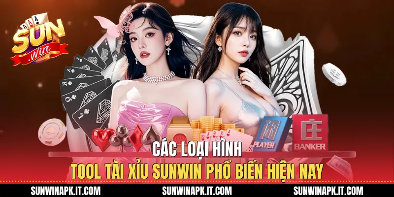 Các loại hình Tool tài xỉu Sunwin phổ biến hiện nay
